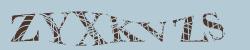 CAPTCHA code image